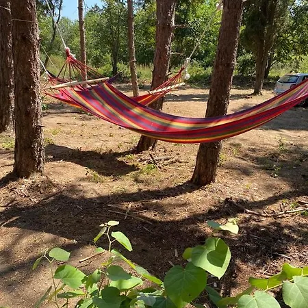 Delightful Beach & Forest Caravan Csernomorec